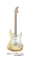 FENDER Stratocaster