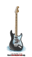 FENDER Stratocaster Custom