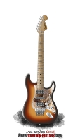 FENDER Stratocaster Custom