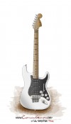 David Carisalezz Custom Fender Stratocaster